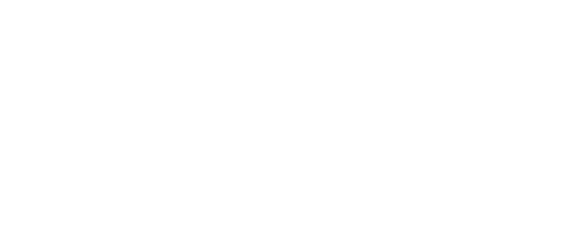 CSS Platinum Cyber Security